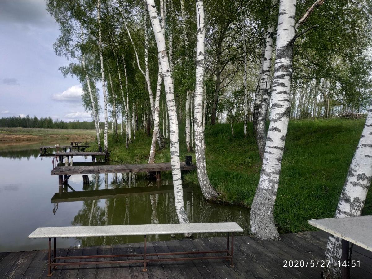 WINTER COUNTRY HOUSE AND SPA ПЕРЕСЛАВЛЬ-ЗАЛЕССКИЙ (Россия) - от 8971 RUB |  NOCHI